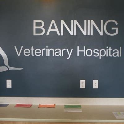 Banning vet - Banning Veterinary Hospital is accepting new patients. Our experienced and compassionate vets care about the health of animals across Riverside County. Contact us today in order to book your first appointment. Contact Us. Location. 3559 W Ramsey St Suite E Banning CA 92220 US. Phone Number (951) 849-3864. Contact. Send us a …